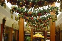 THE FIRS 2015