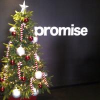 PROMISE BRANDS