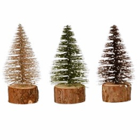 SALCOME tree (small)