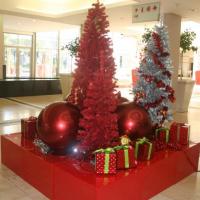 THE FIRS