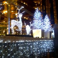 SANDTON SUN